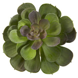 6” Echeveria Succulent (Set of 12) by Nearly Natural