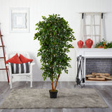 6’ Elegant Ficus Artificial Tree by Nearly Natural