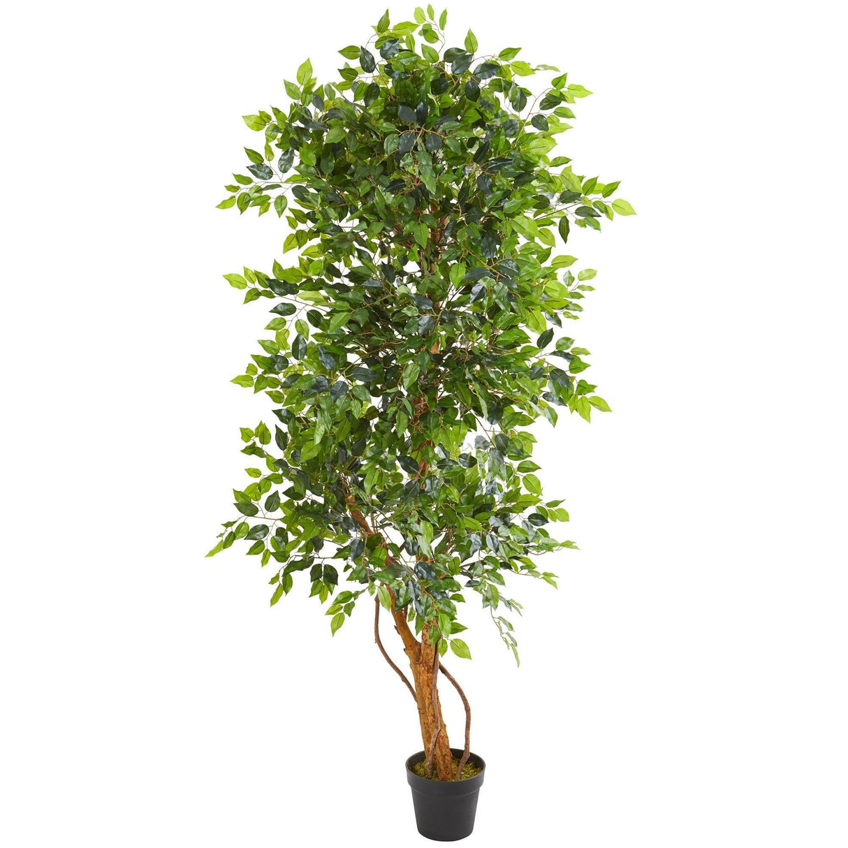 6’ Elegant Ficus Artificial Tree by Nearly Natural