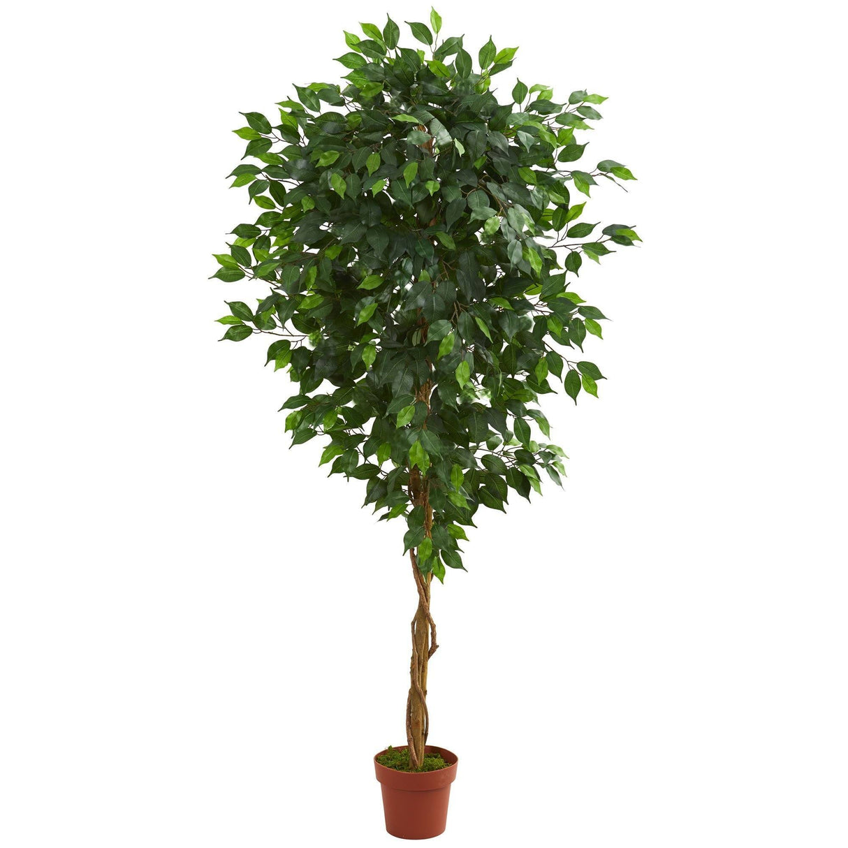 6’ Ficus Artificial Tree in Nursery Planter by Nearly Natural