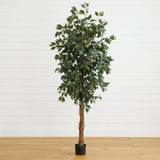 6' Ficus Silk Tree by Nearly Natural