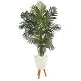 6’ Golden Cane Artificial Palm Tree in White Planter with Stand by Nearly Natural