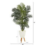 6’ Golden Cane Artificial Palm Tree in White Planter with Stand by Nearly Natural