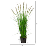 6’ Grass Artificial Plant in Black Tin Planter with Faux Moss by Nearly Natural