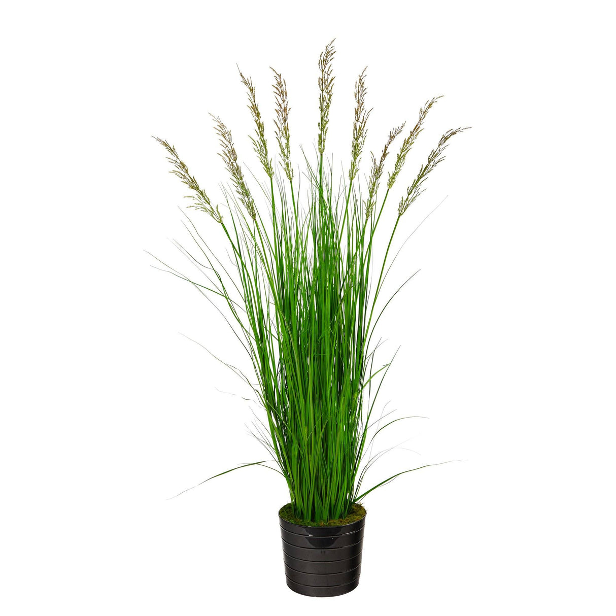 6’ Grass Artificial Plant in Black Tin Planter with Faux Moss by Nearly Natural