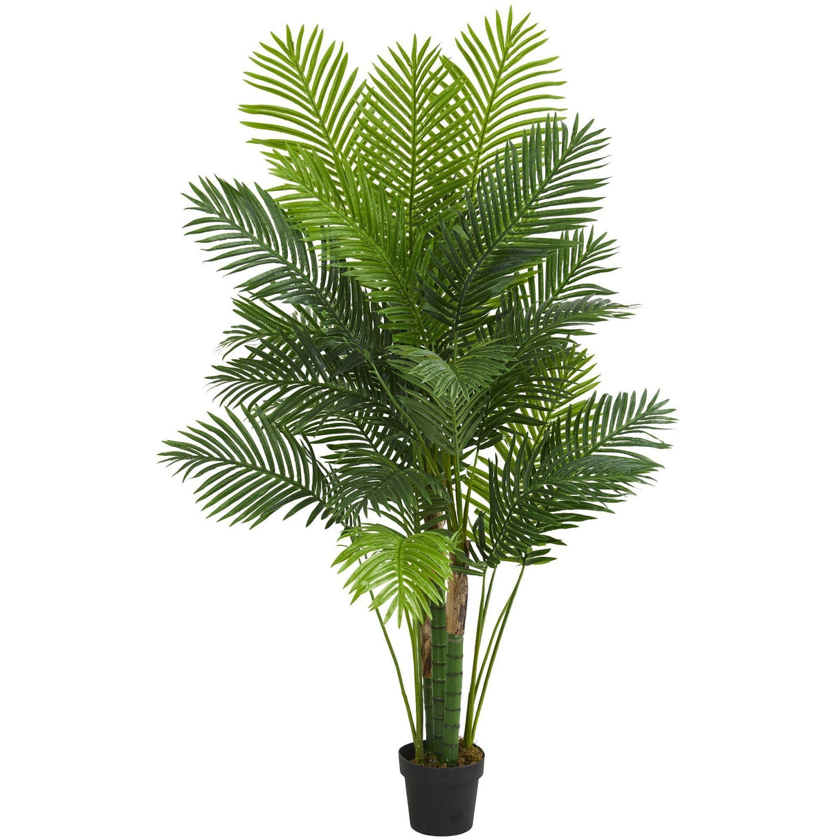 6’ Hawaii Palm Artificial Tree by Nearly Natural