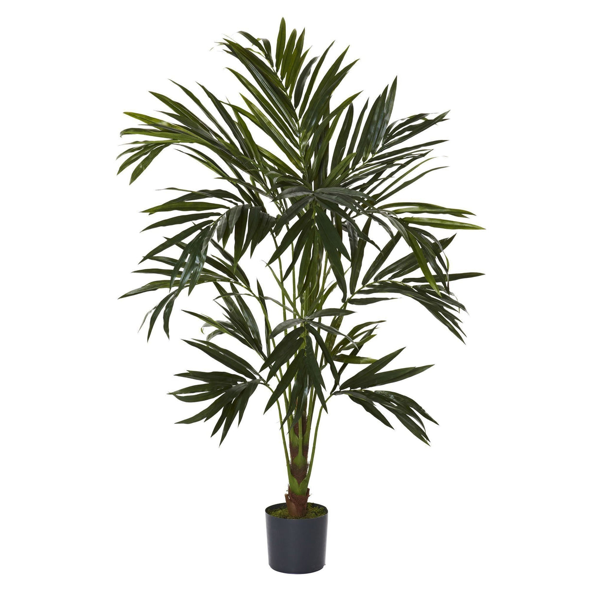 6' Kentia Silk Tree by Nearly Natural