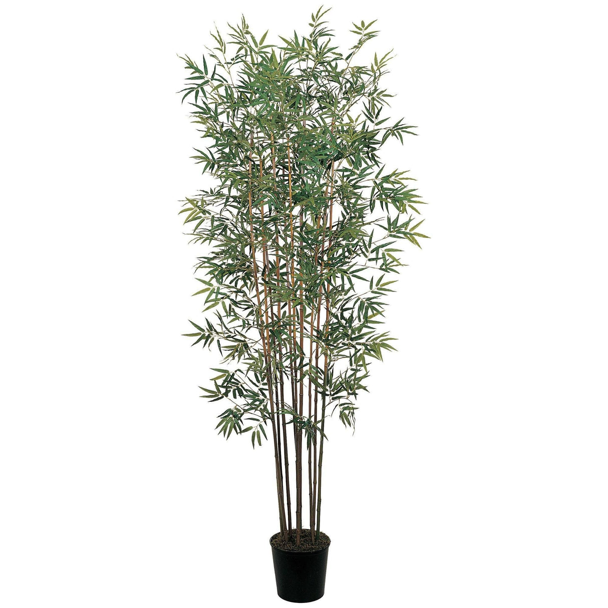 6' Mini Bamboo Silk Tree by Nearly Natural