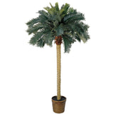 6' Sago Palm Silk Tree by Nearly Natural