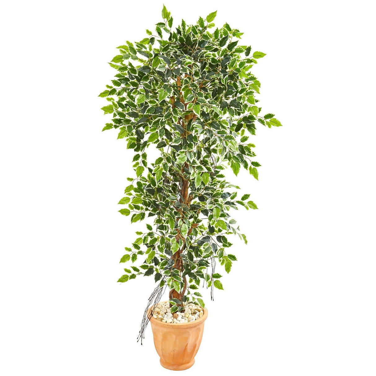 64” Elegant Ficus Artificial Tree in Terra Cotta Planter by Nearly Natural