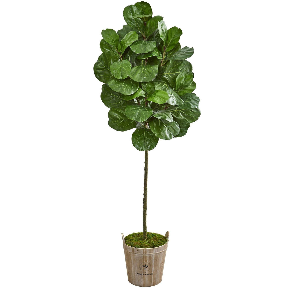 6.5’ Fiddle Leaf Artificial Tree in Farmhouse Planter by Nearly Natural