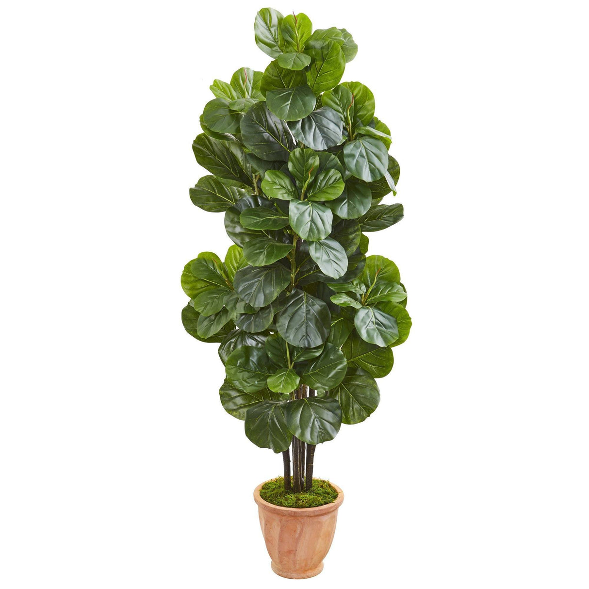 67” Fiddle Leaf Fig Artificial Tree in Terracotta Planter by Nearly Natural