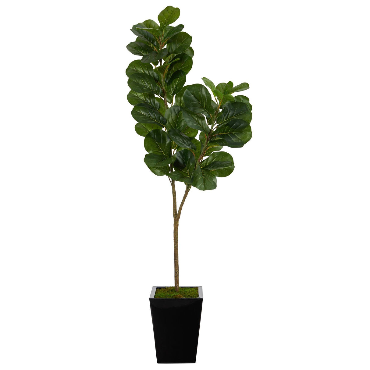 68” Fiddle leaf Fig Artificial Tree in Black Metal Planter by Nearly Natural