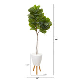 69” Fiddle Leaf Artificial Tree in White Planter with Stand by Nearly Natural