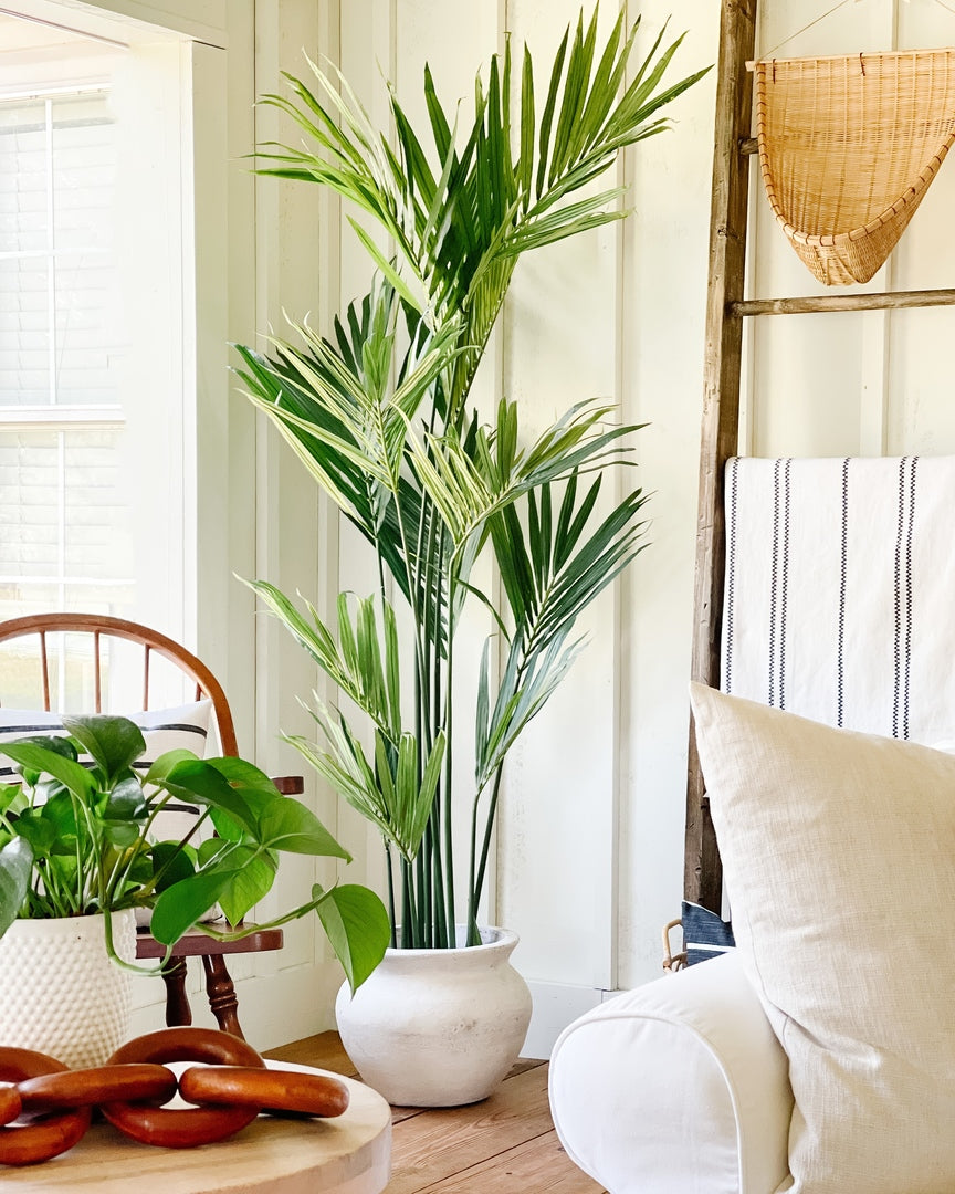 7' Artificial Kentia Palm Silk Tree Released by Nearly Natural