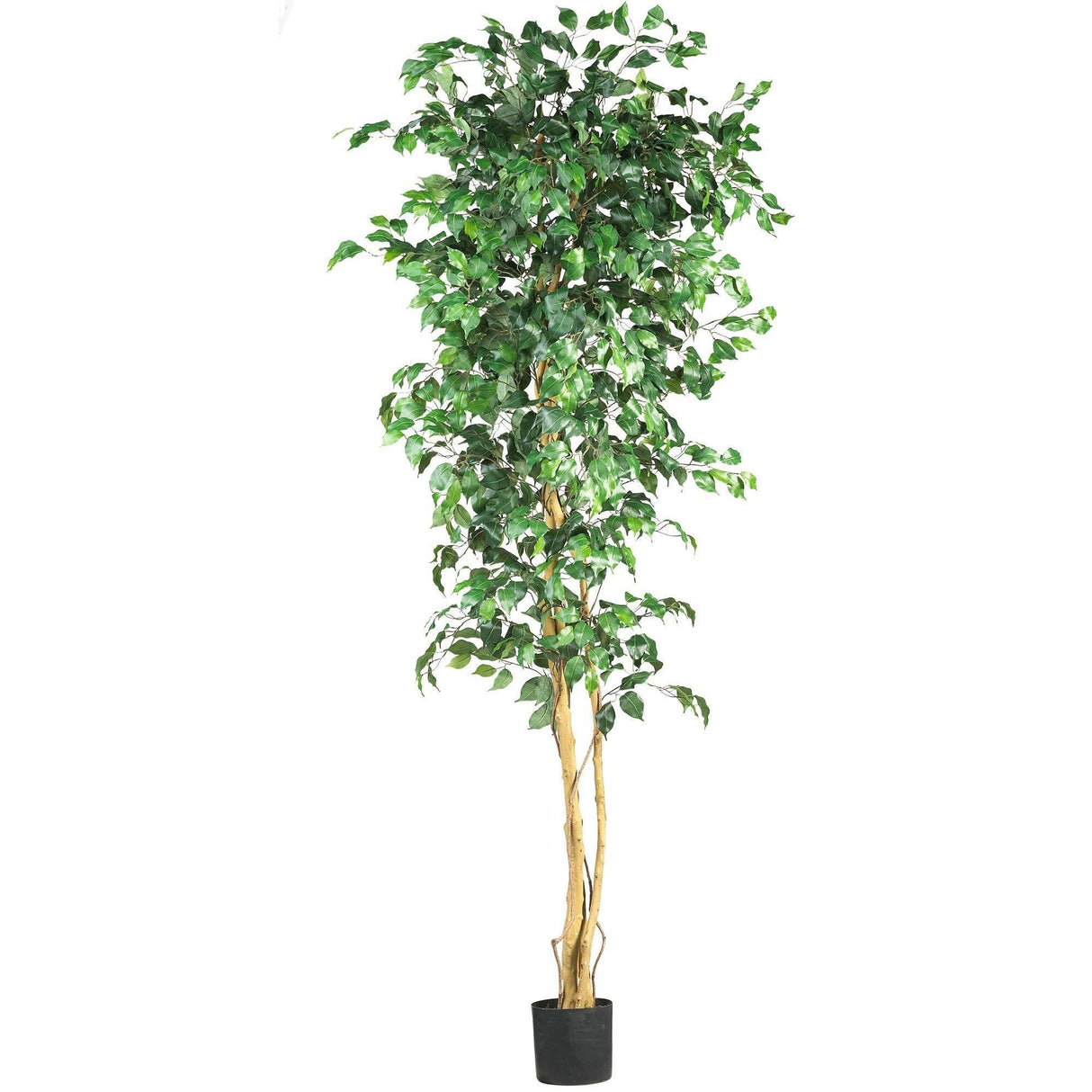 7' Ficus Silk Tree by Nearly Natural