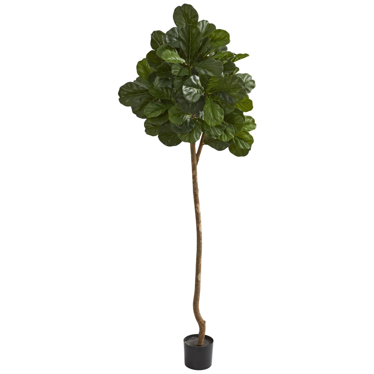 7’ Fiddle leaf fig Artificial tree by Nearly Natural