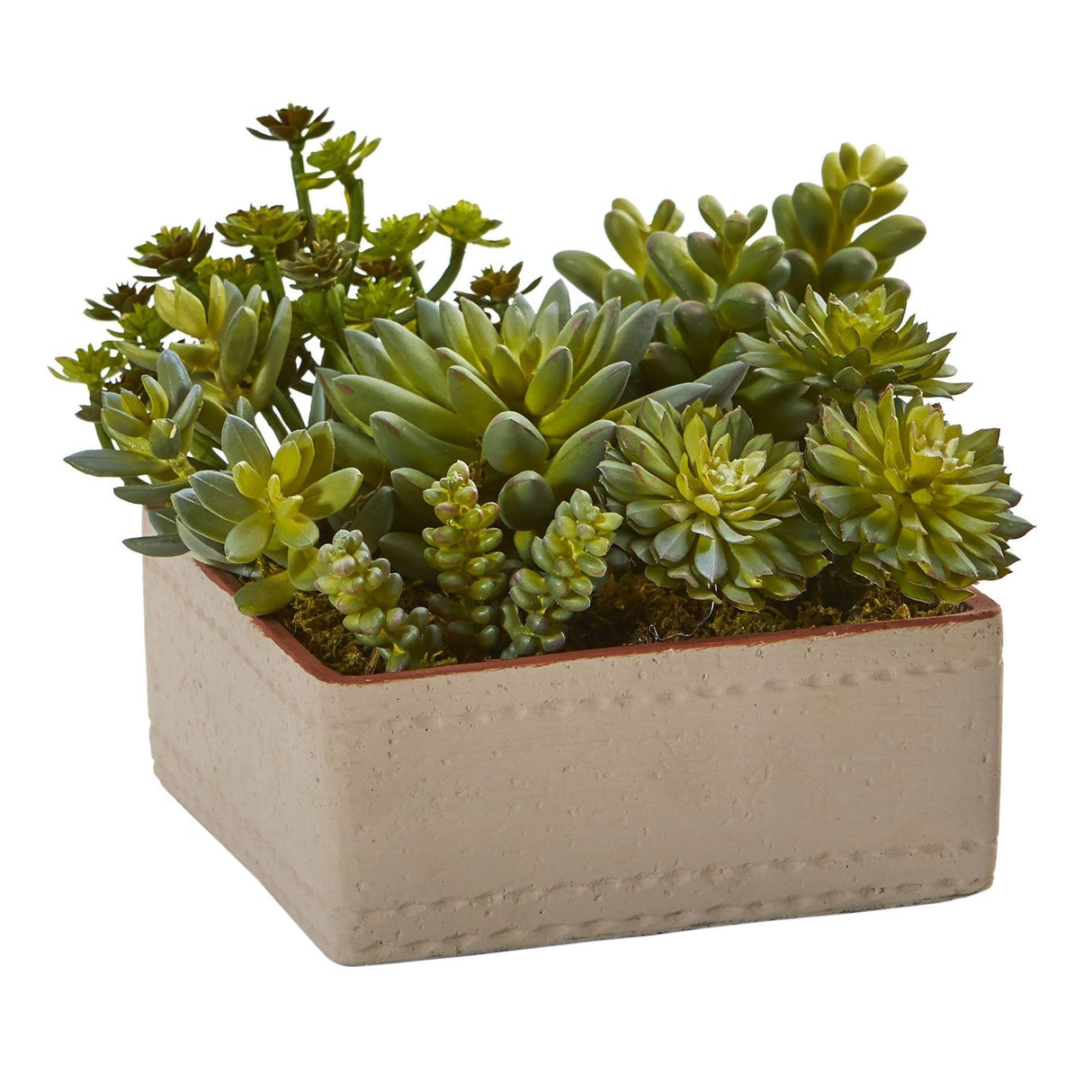 7” Mixed Succulent Artificial Plant with Decorative Planter by Nearly Natural