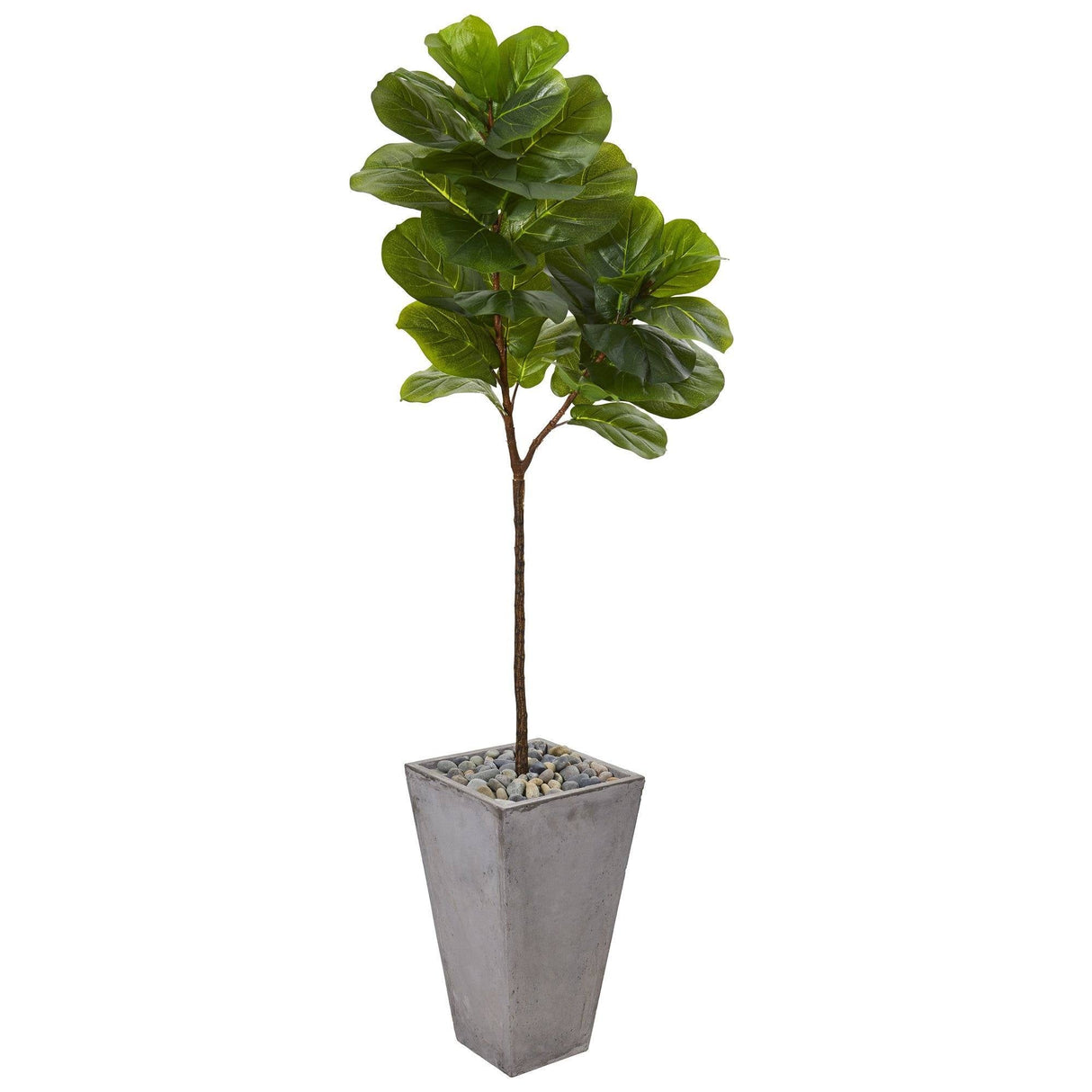 70” Fiddle Leaf Artificial Tree in Cement Planter (Real Touch) by Nearly Natural