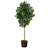 74” Ficus Artificial tree in Black Tin Planter by Nearly Natural