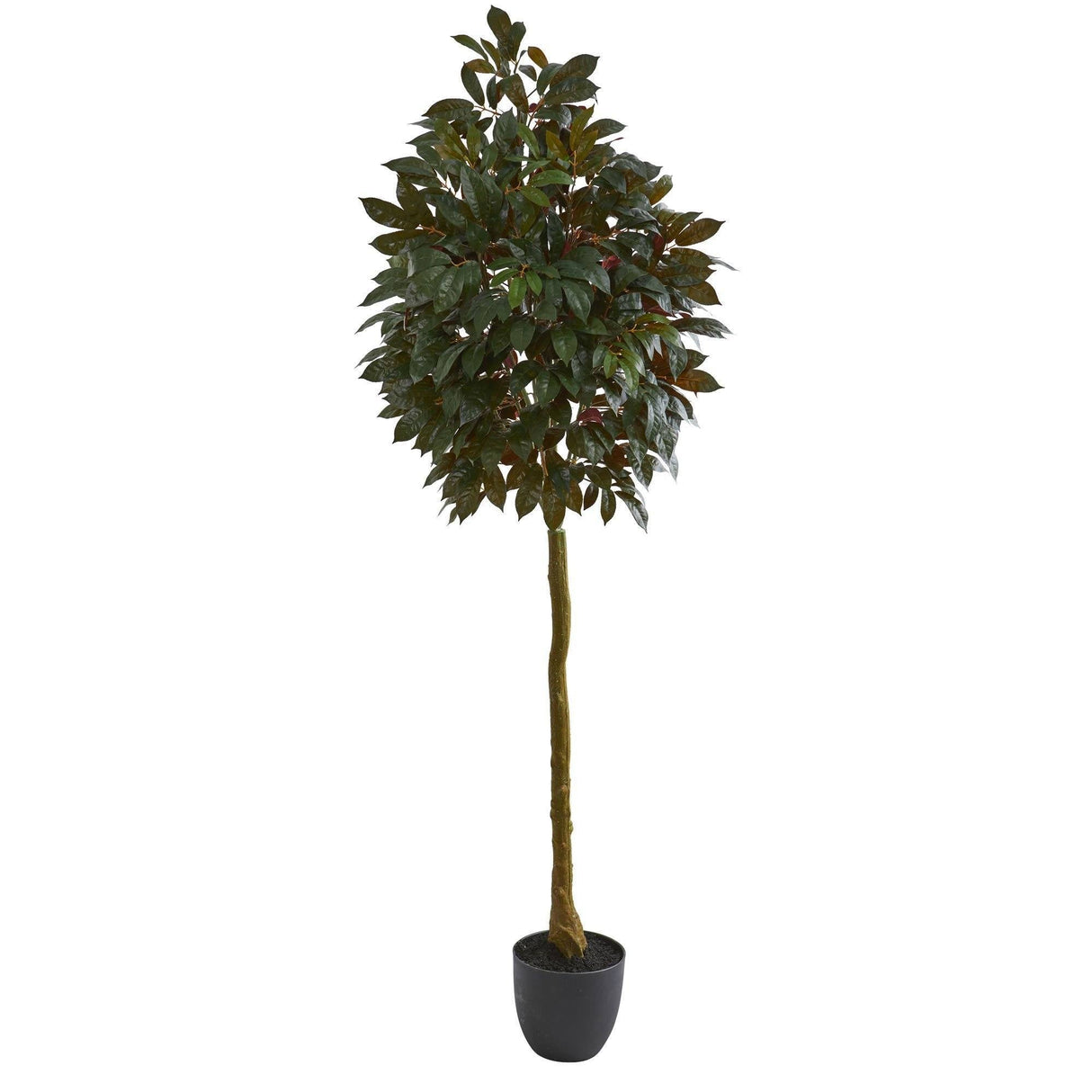 75” Capensia Ficus Artificial Tree by Nearly Natural