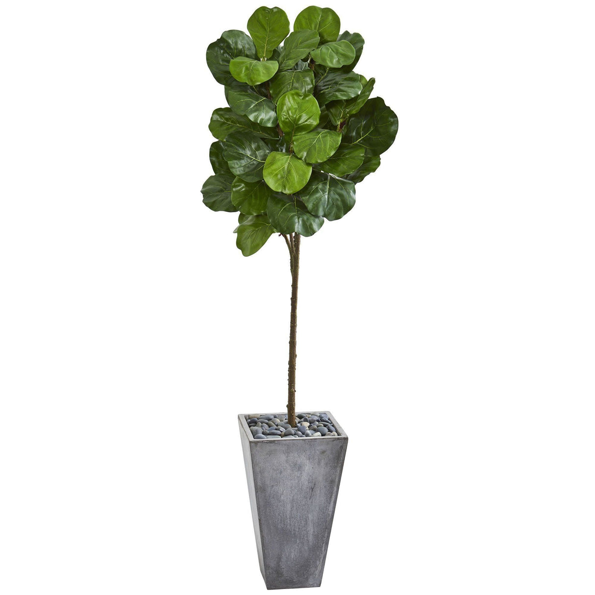 75” Fiddle Leaf Artificial Tree in Cement Planter by Nearly Natural