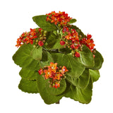 8” Kalanchoe Artificial Bush Flower (Set of 6) by Nearly Natural