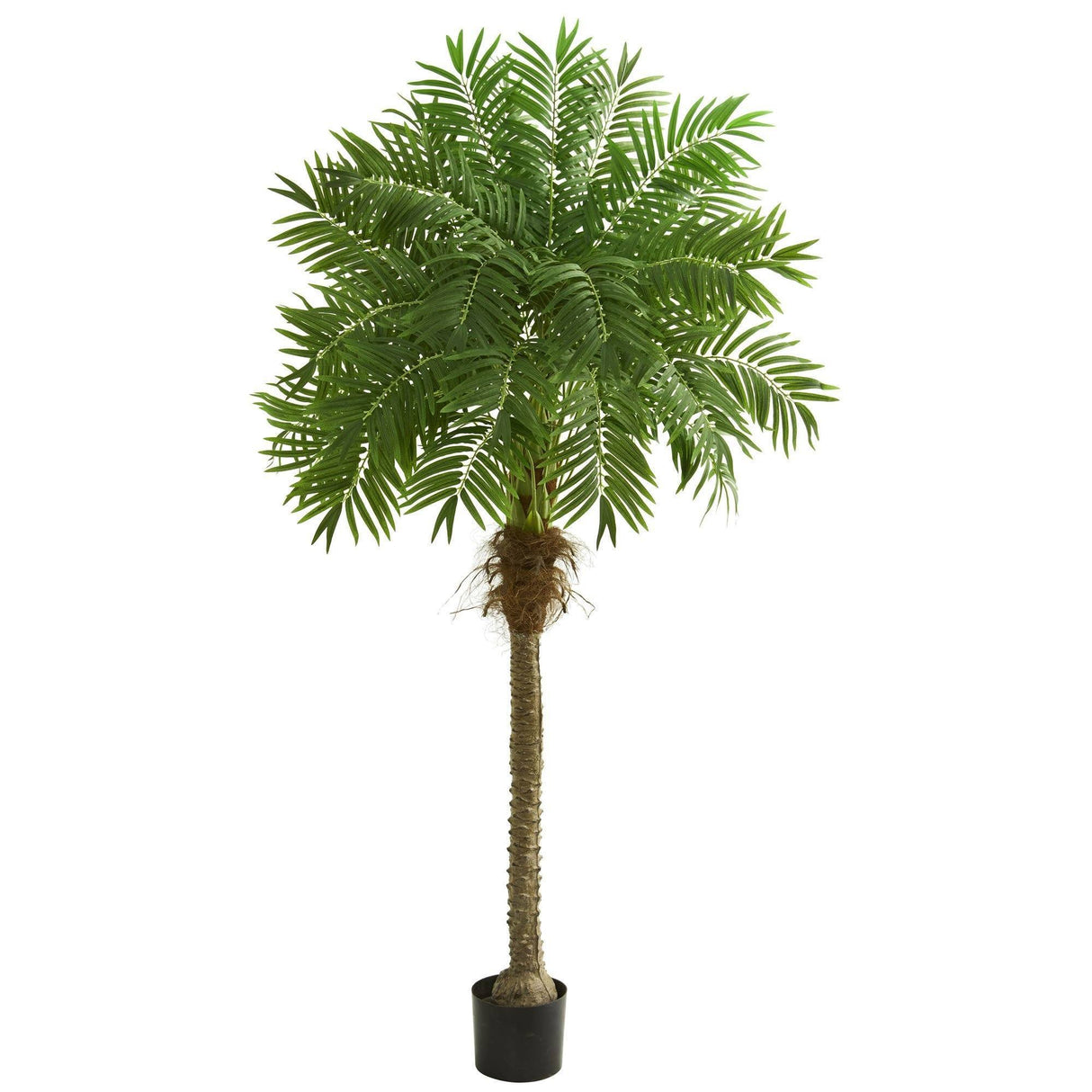 80” Robellini Palm Artificial Tree by Nearly Natural