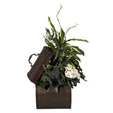 African Violet, Dieffenbachia & Ivy w/Chest Silk Plant by Nearly Natural