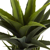 Agave w/Black Planter by Nearly Natural