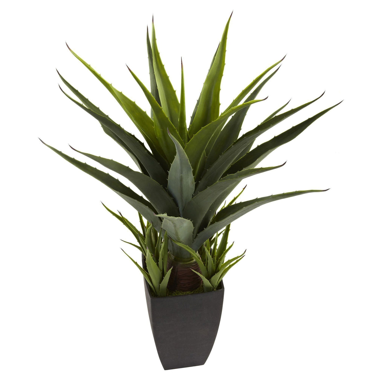 Agave w/Black Planter by Nearly Natural