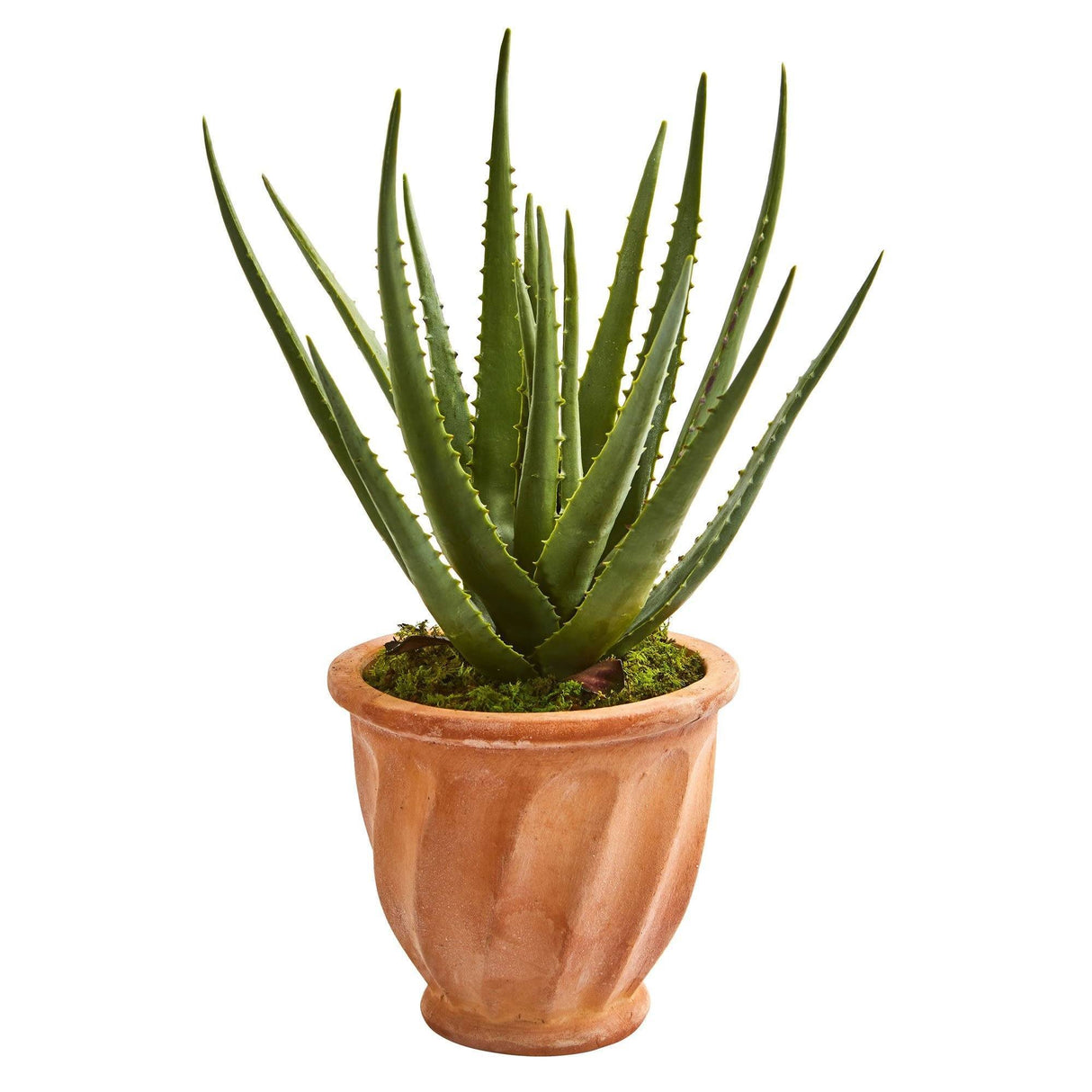 Aloe Artificial Plant in Terra Cotta Planter by Nearly Natural