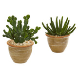 Cactus Succulent Artificial Plant in Ceramic Vase (Set of 2) by Nearly Natural