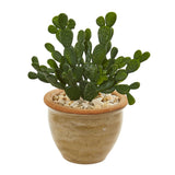 Cactus Succulent Artificial Plant in Ceramic Vase (Set of 2) by Nearly Natural