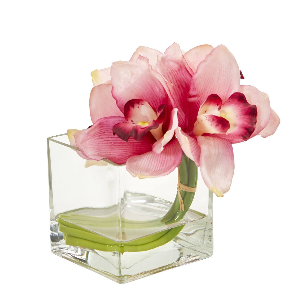 Cymbidium Orchid Artificial Arrangement in Glass Vase (Set of 2) by Nearly Natural