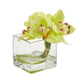 Cymbidium Orchid Artificial Arrangement in Glass Vase (Set of 2) by Nearly Natural