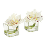 Cymbidium Orchid Artificial Arrangement in Glass Vase (Set of 2) by Nearly Natural