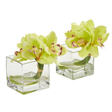 Cymbidium Orchid Artificial Arrangement in Glass Vase (Set of 2) by Nearly Natural