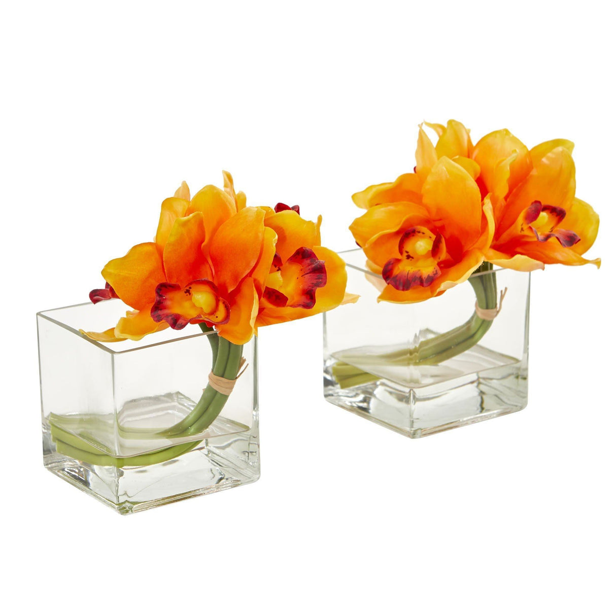 Cymbidium Orchid Artificial Arrangement in Glass Vase (Set of 2) by Nearly Natural