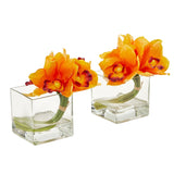 Cymbidium Orchid Artificial Arrangement in Glass Vase (Set of 2) by Nearly Natural