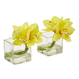 Cymbidium Orchid Artificial Arrangement in Glass Vase (Set of 2) by Nearly Natural