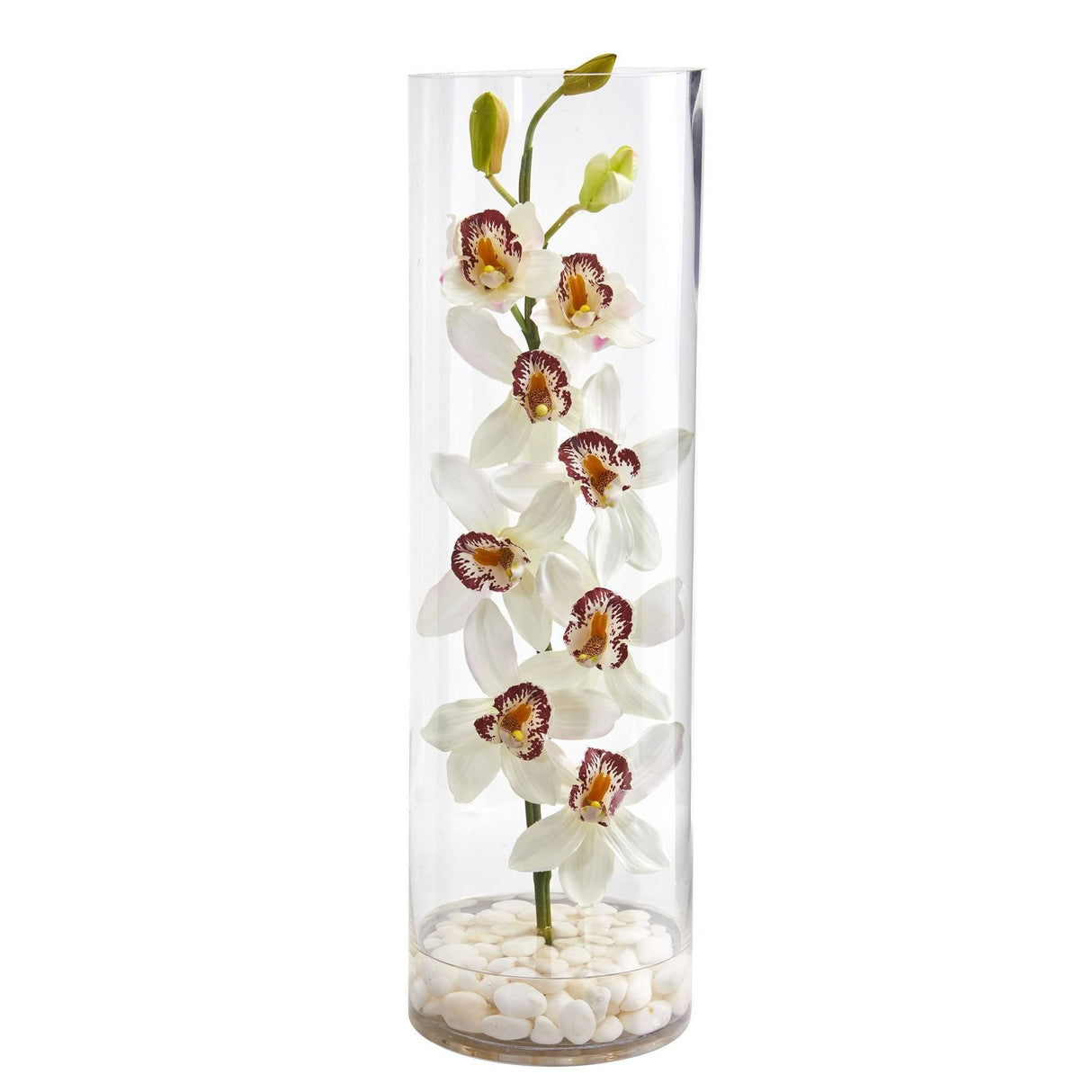 Cymbidium Orchid Artificial Arrangement in Tall Cylinder Vase by Nearly Natural