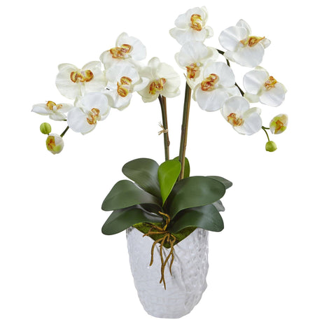 Double Phalaenopsis Orchid in White Vase by Nearly Natural