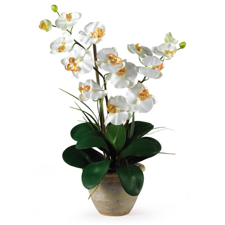 Double Stem Phalaenopsis Silk Orchid Arrangement by Nearly Natural