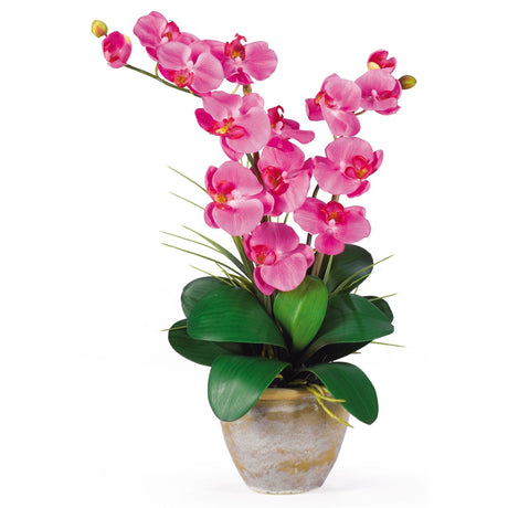 Double Stem Phalaenopsis Silk Orchid Arrangement by Nearly Natural