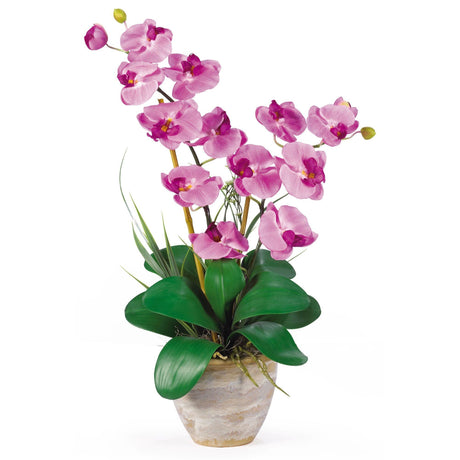 Double Stem Phalaenopsis Silk Orchid Arrangement by Nearly Natural