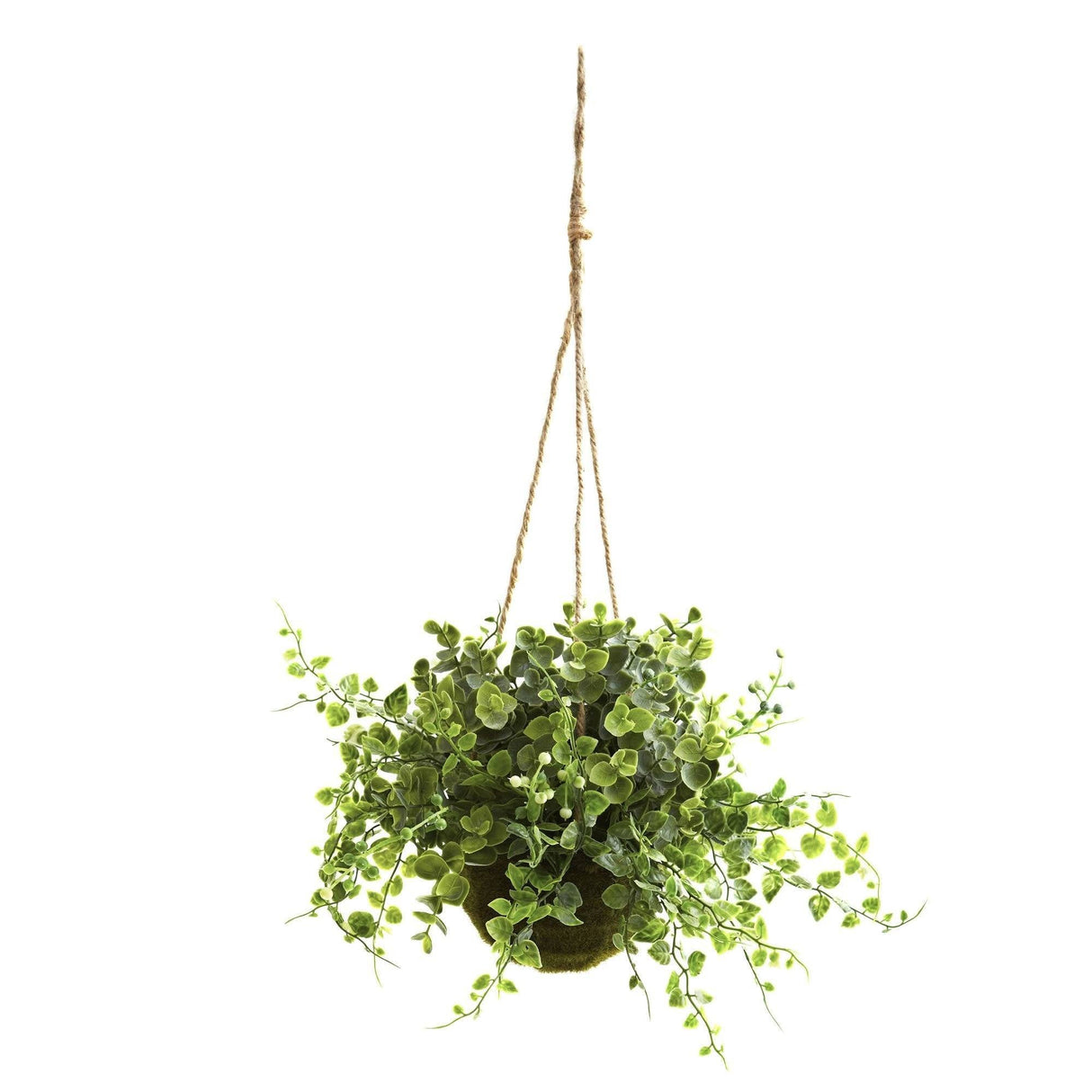 Eucalyptus, Maiden Hair & Berry Hanging Basket (Set of 3) by Nearly Natural