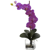 Giant Phal Orchid w/Vase Arrangement by Nearly Natural