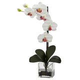 Giant Phal Orchid w/Vase Arrangement by Nearly Natural