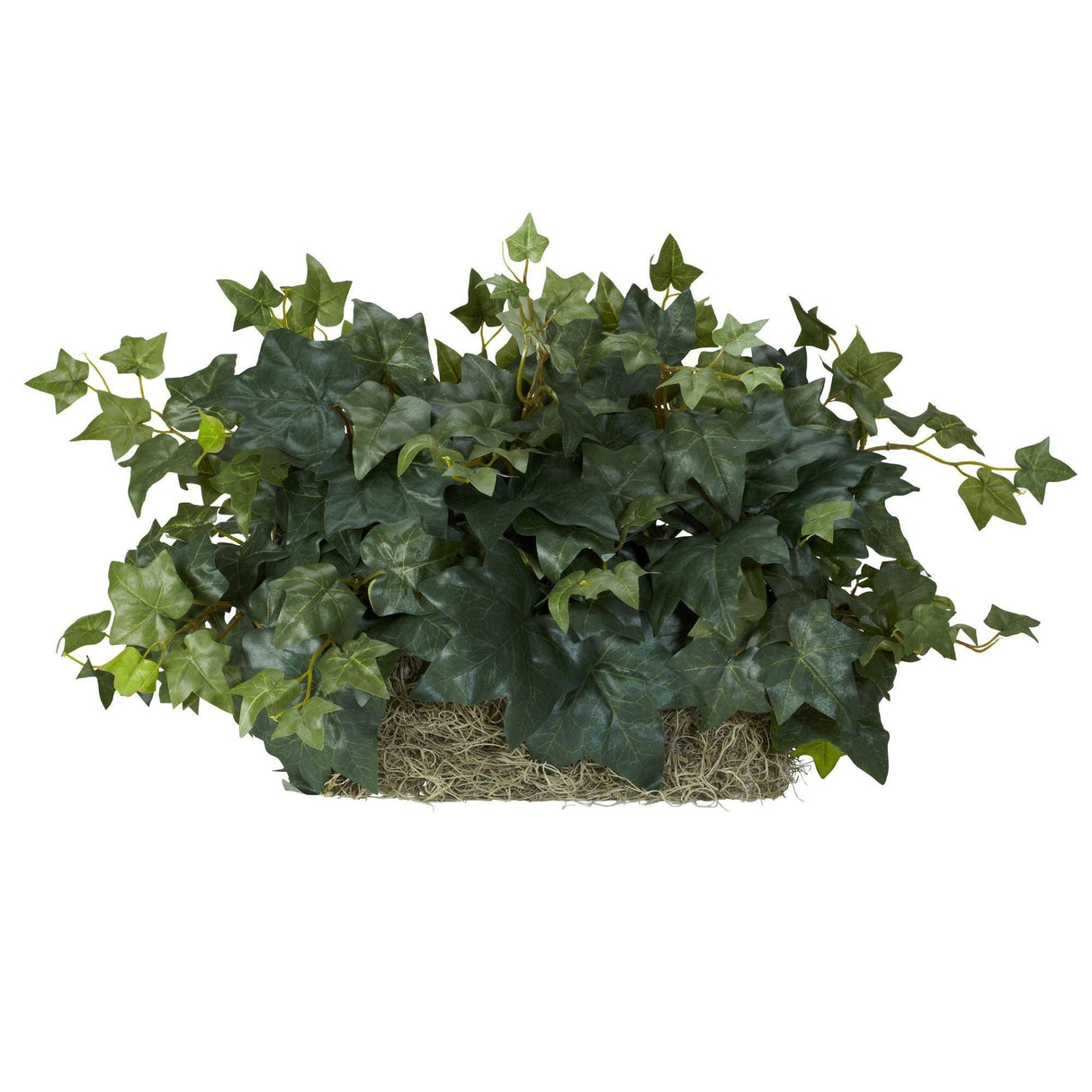 Ivy Set on Foam Sheet Silk Plant by Nearly Natural